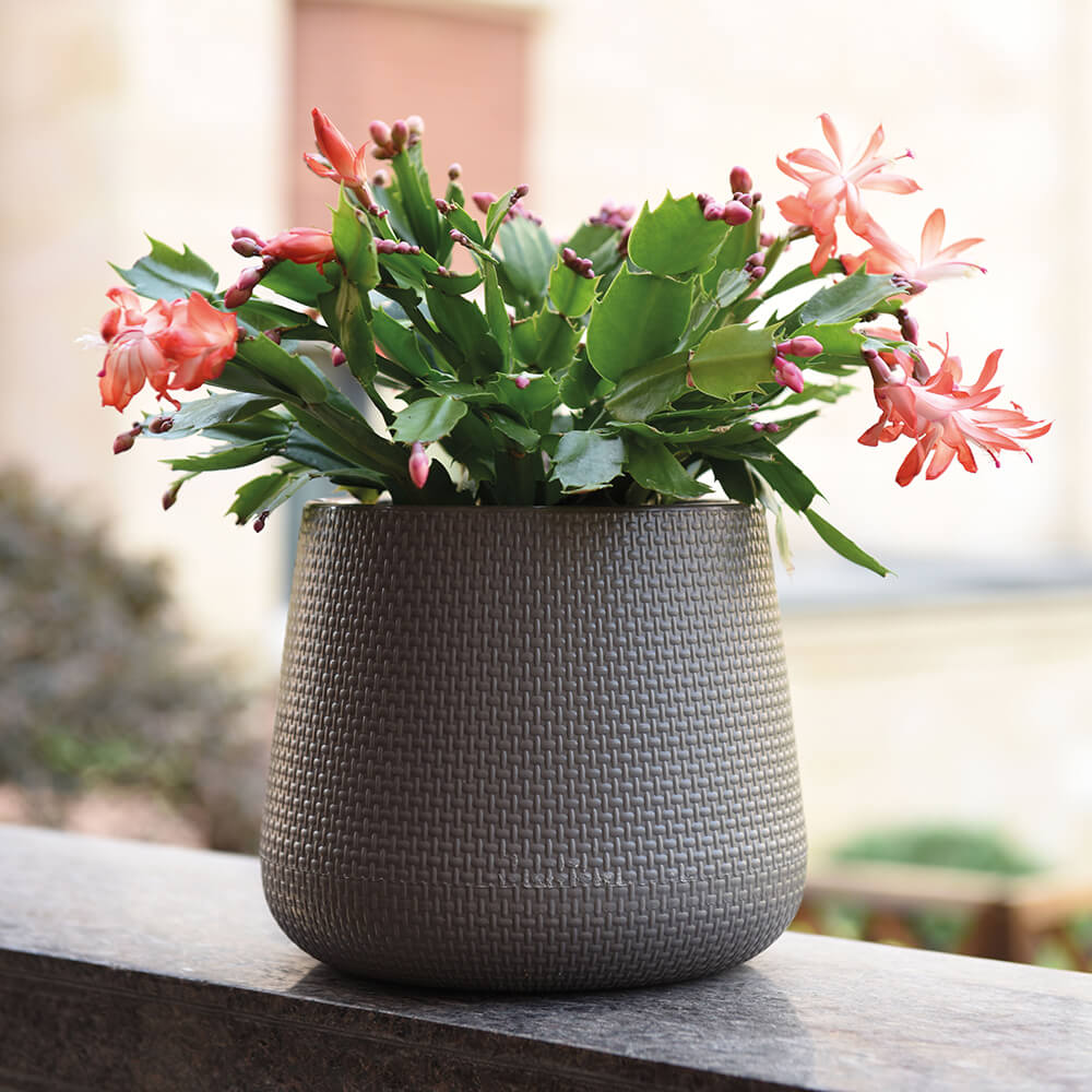 Premium Self-Watering Planters | Nordic Style Automatic Irrigation Pots | Factory Direct from Taizhou