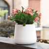 Premium Self-Watering Planters | Nordic Style Automatic Irrigation Pots | Factory Direct from Taizhou