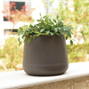 Premium Self-Watering Planters | Nordic Style Automatic Irrigation Pots | Factory Direct from Taizhou