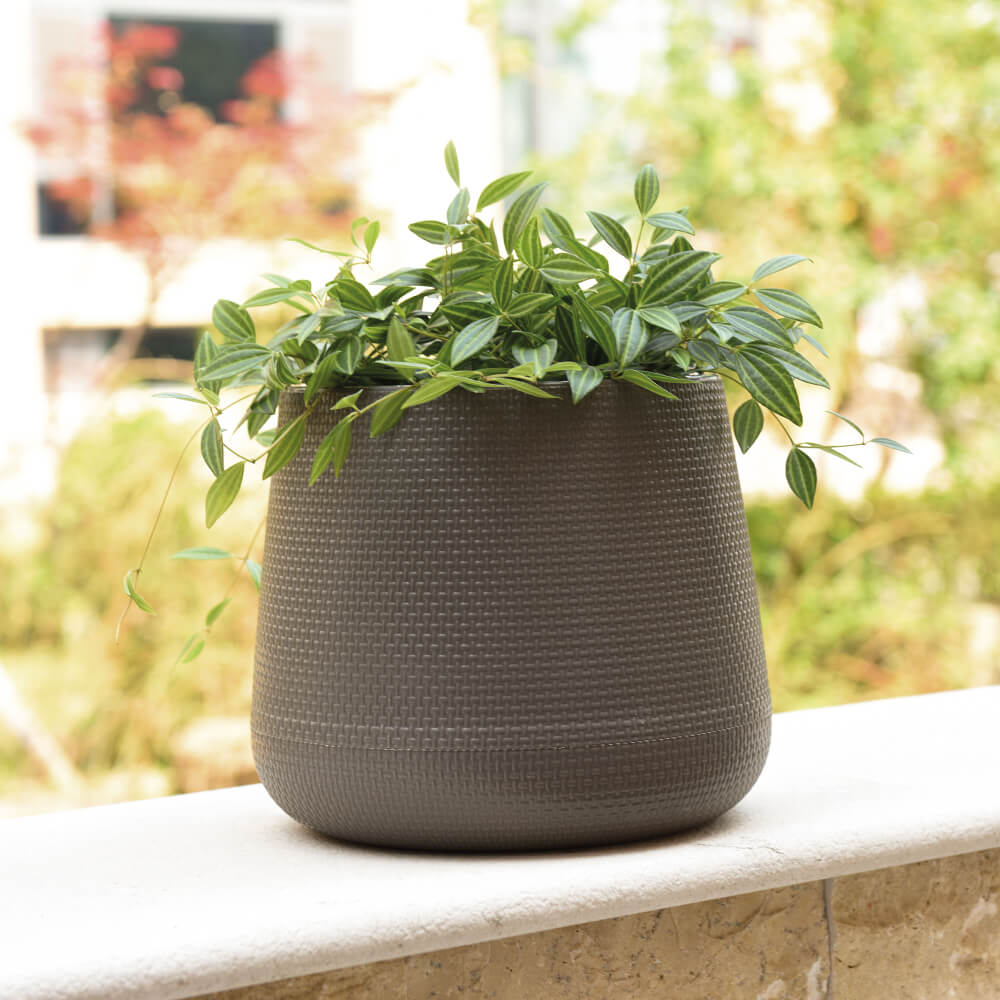 Premium Self-Watering Planters | Nordic Style Automatic Irrigation Pots | Factory Direct from Taizhou
