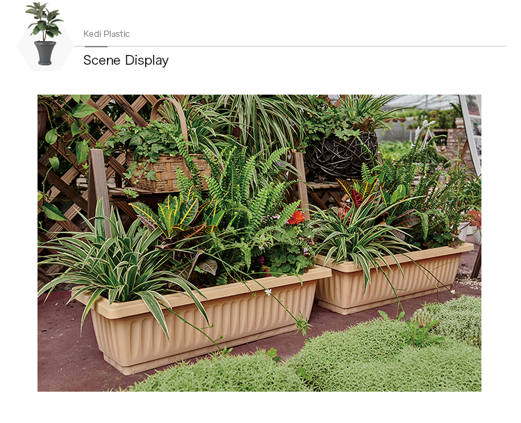 Rectangular plastic planter boxes with flowers in an outdoor garden