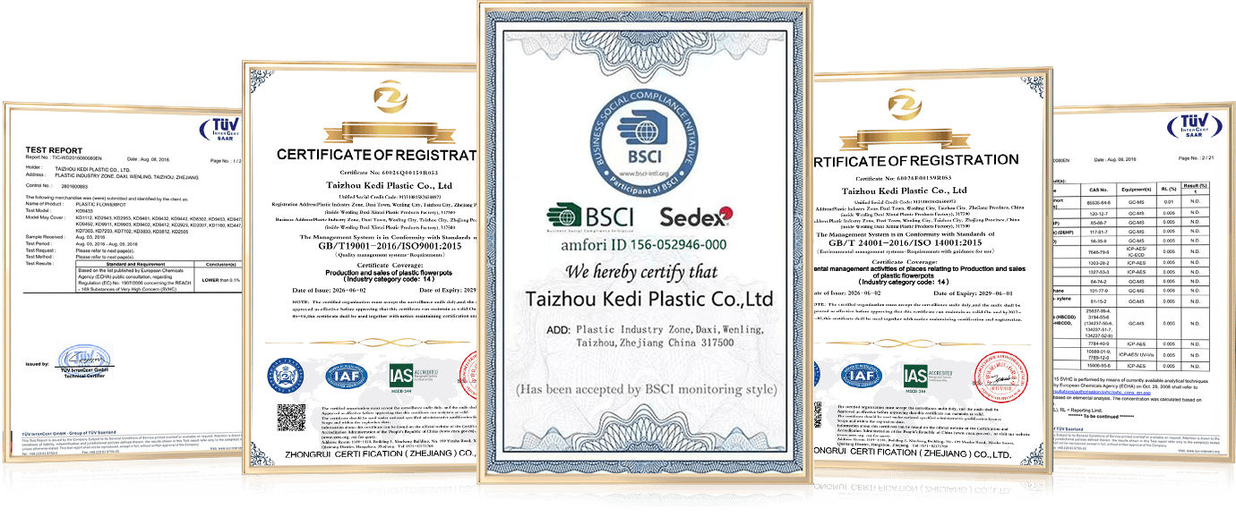 BSCI & ISO certifications of Kedi painted plastic flower pot factory