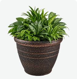 KD9411 brown painted plastic urn planter and round flower pot